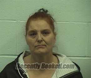 Recent Mugshot Image for LYNN A LIKE in Richland County, Illinois