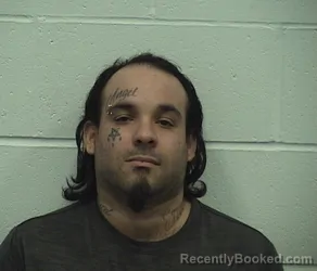 Recent Mugshot Image for DAVID A BUSHER in Richland County, Illinois