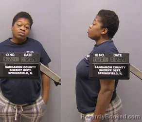 Recent Mugshot Image for Erica R Linder in Sangamon County, Illinois