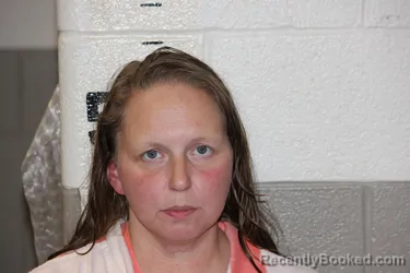 Recent Mugshot Image for CHASITY SON in Schuyler County, Illinois