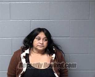 Recent Mugshot Image for WANDA RODRIGUEZ in Woodford County, Illinois
