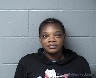 Recent Mugshot Image for LONZIARA M WILLIAMS in Woodford County, Illinois