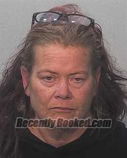 Recent Mugshot Image for Michelle Lynn Ladd in Allen County, Indiana