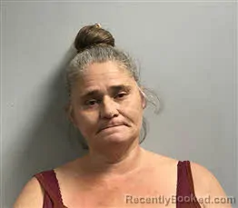 Recent Mugshot Image for Tina Gibson in Haywood County, North Carolina