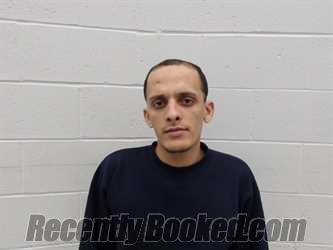 Recent Mugshot Image for FAGEL, MOHAMED in Clay County, Indiana