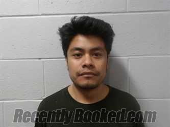 Recent Mugshot Image for HERNANDEZ-NAVARRO, FERNANDO in Clay County, Indiana