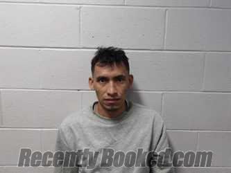 Recent Mugshot Image for MAYORA OSORIO, ALEXIS in Clay County, Indiana