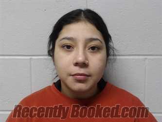 Recent Mugshot Image for PALMA-CASARES, ELLEN in Clay County, Indiana