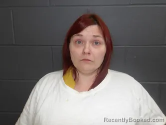 Recent Mugshot Image for Baysinger, Amber N in Clay County, Indiana