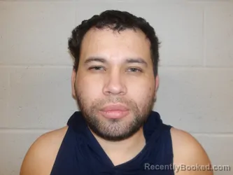 Recent Mugshot Image for CASTILLO-AYALA, NERY in Clay County, Indiana