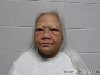 Recent Mugshot Image for PINYERD, REBECCA in Clay County, Indiana