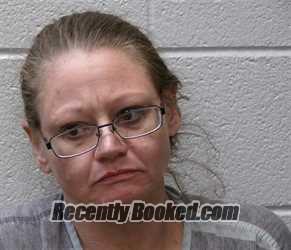 Recent Mugshot Image for MICHELLE RENEE VOGEL in Henderson County, North Carolina