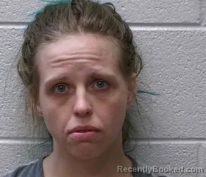 Recent Mugshot Image for LINDSEY ADAIR MORGAN in Henderson County, North Carolina