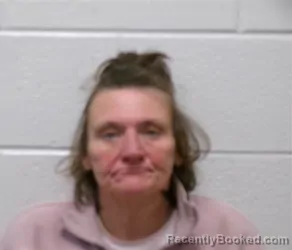Recent Mugshot Image for TERESA ANNETTE DAVIS in Henderson County, North Carolina