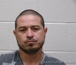 Recent Mugshot Image for JESSIE SANCHEZ in Henderson County, North Carolina