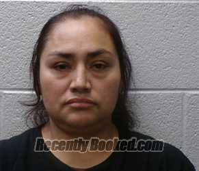 Recent Mugshot Image for MARISOL ANTUNEZ QUEBRADO in Henderson County, North Carolina