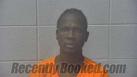 Recent Mugshot Image for JOHNSON MABOR MALET in Dubois County, Indiana