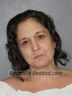Recent Mugshot Image for Gina Marie Birr in Elkhart County, Indiana