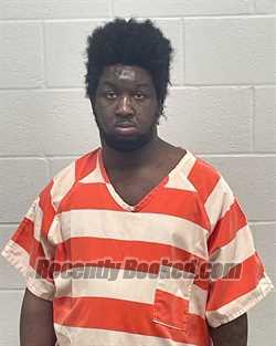 Recent Mugshot Image for JASON LAMARE WHITE in Fulton County, Indiana