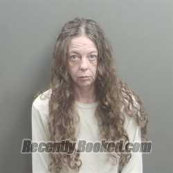 Recent Mugshot Image for Lori Lynn Shepler in Grant County, Indiana