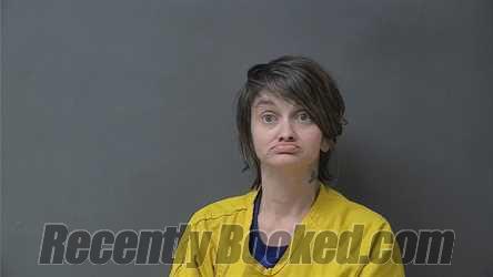 Recent Mugshot Image for AMANDA MICHELLE BURDINE in Howard County, Indiana