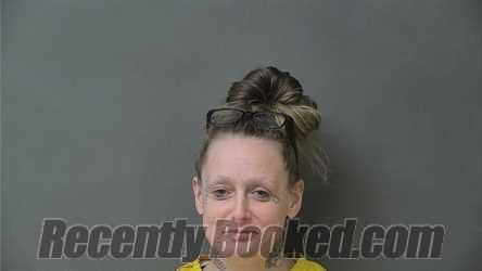 Recent Mugshot Image for STEPHANIE NICOLE CRAIG in Howard County, Indiana
