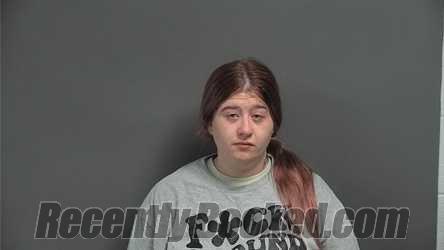 Recent Mugshot Image for MICHELLE RENEE GOODMAN in Knox County, Indiana