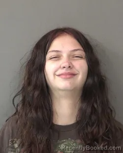 Recent Mugshot Image for CASSANDRA M NEUFELDT-LICHTENBERGER in Kosciusko County, Indiana