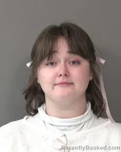 Recent Mugshot Image for NATALIE DIANN KNIGHT in Kosciusko County, Indiana