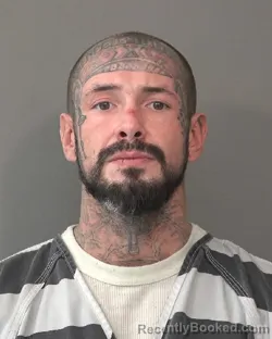 Recent Mugshot Image for ROSS HOLDEN MALOTT in Kosciusko County, Indiana