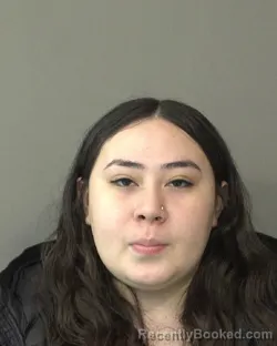 Recent Mugshot Image for ZUYIN MENDOZA FLORES in Kosciusko County, Indiana