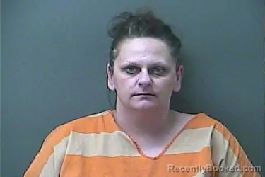 Recent Mugshot Image for SARAH L HEISLER in La Porte County, Indiana