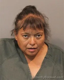Recent Mugshot Image for SYLVIA MARIBEL SUSTAITA in Lake County, Indiana