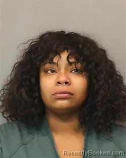 Recent Mugshot Image for ASHLEY MELISSA GIBSON in Lake County, Indiana
