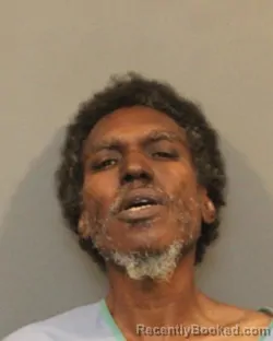 Recent Mugshot Image for DAVID EARL JOHNSON in Lake County, Indiana