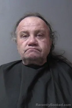 Recent Mugshot Image for Silven Vires in Madison County, Indiana