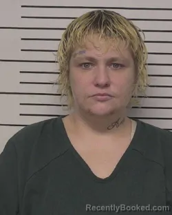 Recent Mugshot Image for SASHA CHERIE RIPPEY in Iredell County, North Carolina