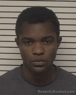 Recent Mugshot Image for FRANCOIS EKOE AFFO in Iredell County, North Carolina