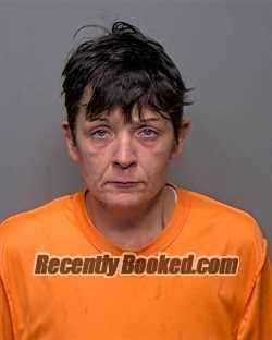 Recent Mugshot Image for Amber Dawn Schwanke in Porter County, Indiana