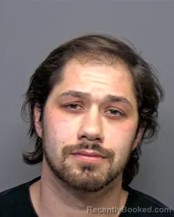 Recent Mugshot Image for Austin Robert Wilson in Porter County, Indiana