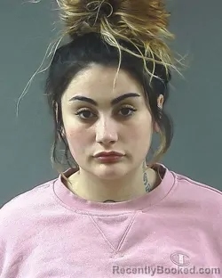 Recent Mugshot Image for APELINA P NOVETSKE in Posey County, Indiana