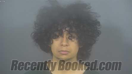 Recent Mugshot Image for DAVID PERALTA in St Joseph County, Indiana