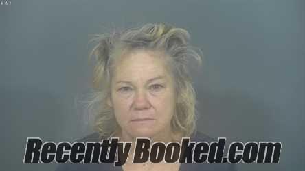 Recent Mugshot Image for DAWN RENEE WUCSINA in St Joseph County, Indiana