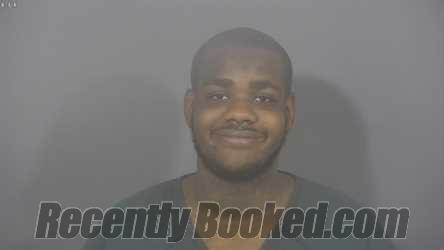 Recent Mugshot Image for DESTEFANO ARMANDO RICHARDSON in St Joseph County, Indiana
