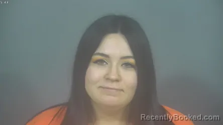 Recent Mugshot Image for NATALIE ANN HITCHCOCK in St Joseph County, Indiana