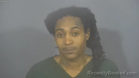 Recent Mugshot Image for TERRAE PEIRCE HALL in St Joseph County, Indiana