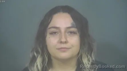 Recent Mugshot Image for TAYLEE MICHELLE ANDREWS in St Joseph County, Indiana