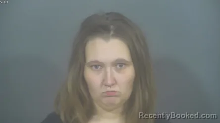 Recent Mugshot Image for HAELY BREANNA RAY in St Joseph County, Indiana