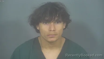 Recent Mugshot Image for GREVIL JOEL BEJARANO-ZAVALA in St Joseph County, Indiana