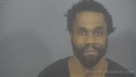 Recent Mugshot Image for LAYDON NATHANIEL-BUTLER UMANOS in St Joseph County, Indiana